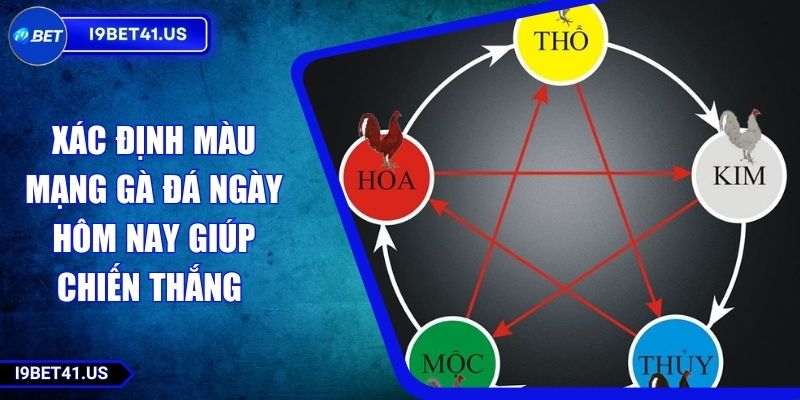 Xác Định Màu Mạng Gà Đá Ngày Hôm Nay Giúp Chiến Thắng 4 Xác Định Màu Mạng Gà Đá Ngày Hôm Nay Giúp Chiến Thắng