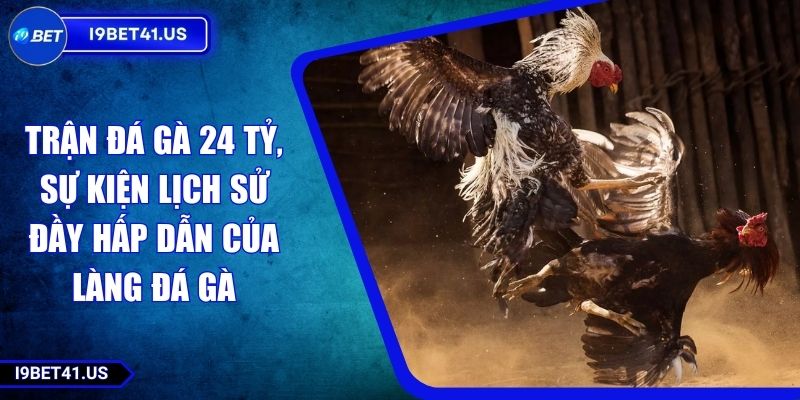 Trận Đá Gà 24 Tỷ, Sự Kiện Lịch Sử Đầy Hấp Dẫn Của Làng Đá Gà 10 Trận Đá Gà 24 Tỷ, Sự Kiện Lịch Sử Đầy Hấp Dẫn Của Làng Đá Gà