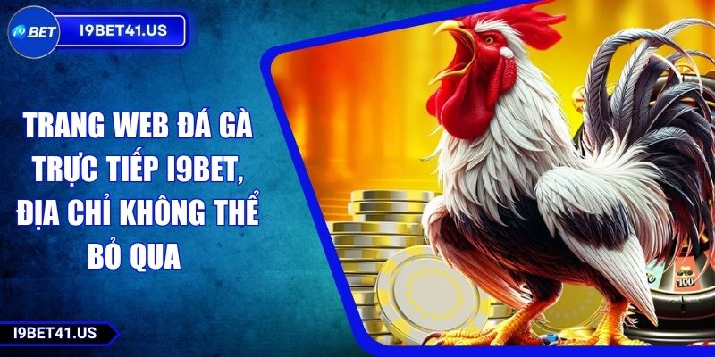 Trang Web Đá Gà Trực Tiếp I9BET, Địa Chỉ Không Thể Bỏ Qua 8 Trang Web Đá Gà Trực Tiếp I9BET, Địa Chỉ Không Thể Bỏ Qua